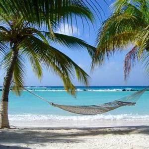 Meet your Posher, Candice